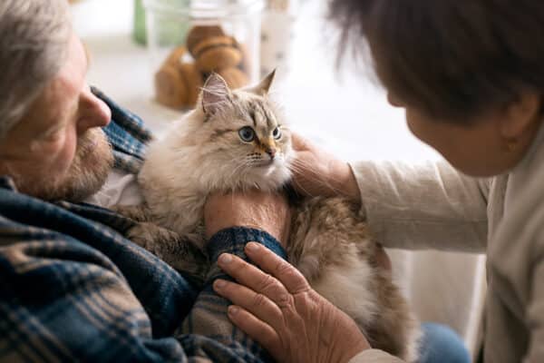 Das Bild zeigt einen Senior mit einer Katze im Arm.